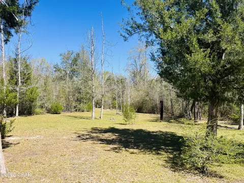 3010 Five Points Rd, Cottondale, FL 32431 photo 39