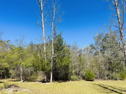3010 Five Points Rd, Cottondale, FL 32431 photo 40