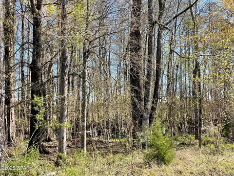 851 Chance Rd, Chipley, FL 32428 photo 16