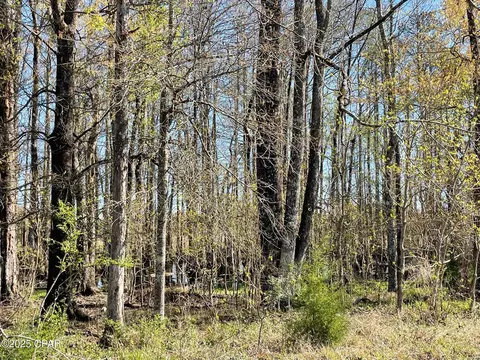 851 Chance Rd, Chipley, FL 32428 photo 17