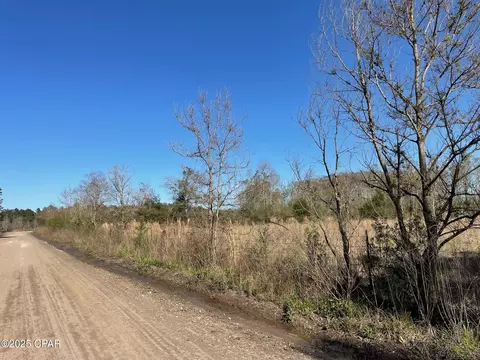 851 Chance Rd, Chipley, FL 32428 photo 13