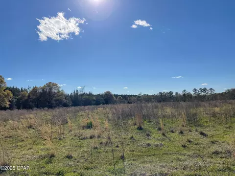 851 Chance Rd, Chipley, FL 32428 photo 10