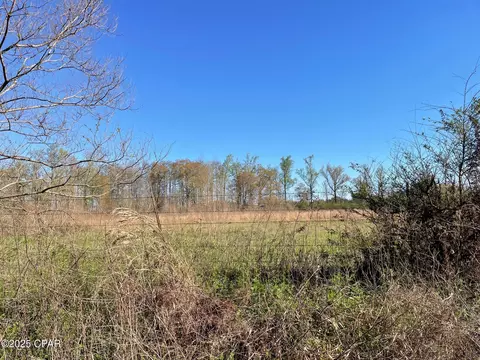851 Chance Rd, Chipley, FL 32428 photo 11