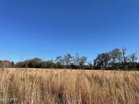 851 Chance Rd, Chipley, FL 32428 photo 7