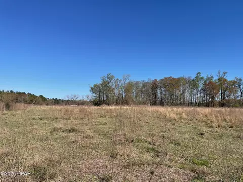 851 Chance Rd, Chipley, FL 32428 photo 3