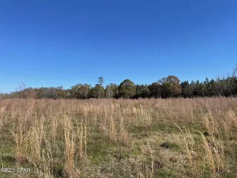 851 Chance Rd, Chipley, FL 32428 photo 4