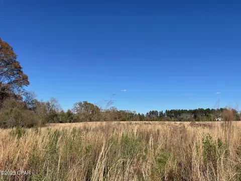 851 Chance Rd, Chipley, FL 32428 photo 6