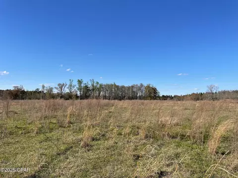 851 Chance Rd, Chipley, FL 32428 photo 5