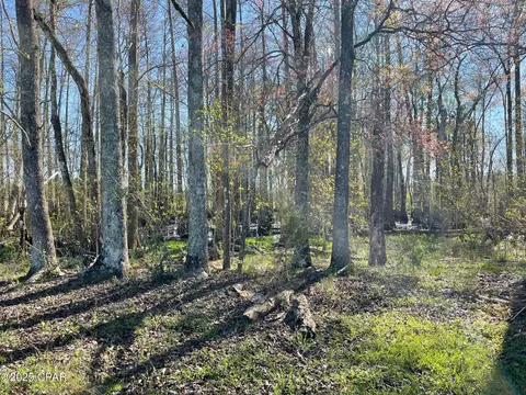 851 Chance Rd, Chipley, FL 32428 photo 19