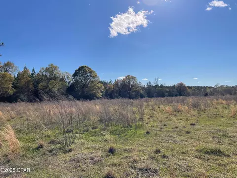 851 Chance Rd, Chipley, FL 32428 photo 9