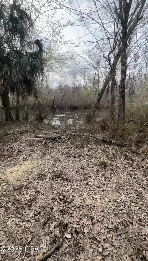 151 Elm St, Wewahitchka, FL 32465