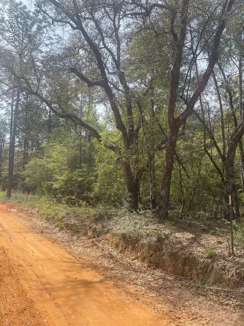 tbd Olive Ln, Bonifay, FL 32425