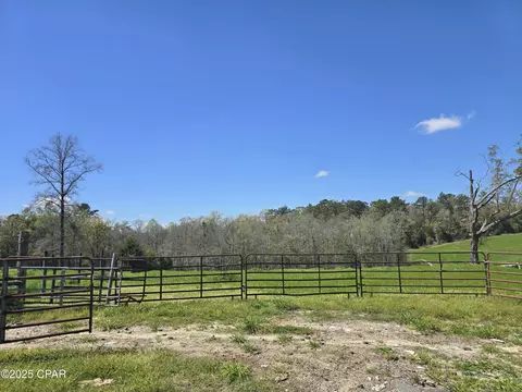 0 Posey Acres Rd, Chipley, FL 32428 photo 18
