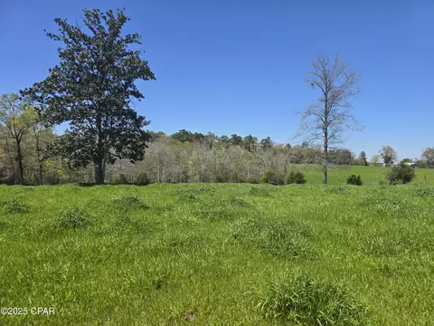 0 Posey Acres Rd, Chipley, FL 32428 photo 39