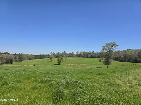 0 Posey Acres Rd, Chipley, FL 32428 photo 21