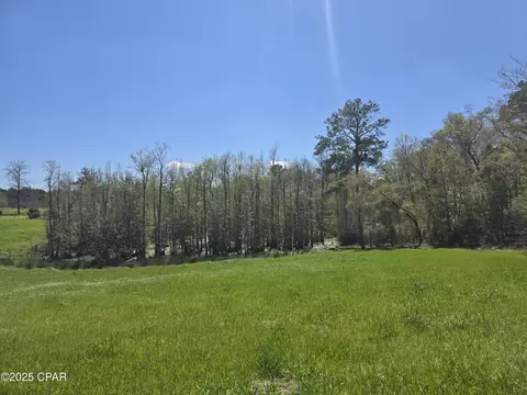 0 Posey Acres Rd, Chipley, FL 32428 photo 38