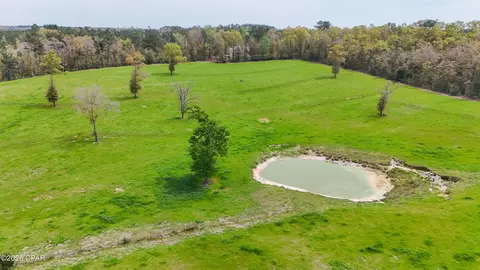 0 Posey Acres Rd, Chipley, FL 32428 photo 7