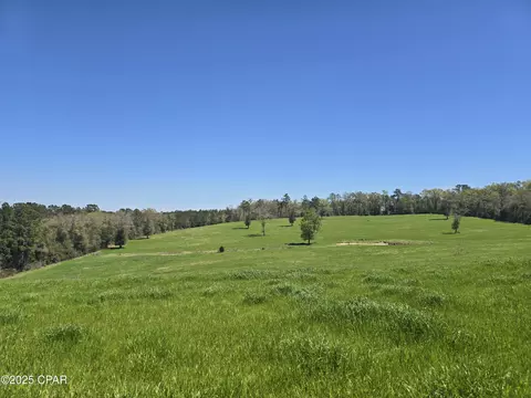 0 Posey Acres Rd, Chipley, FL 32428 photo 23