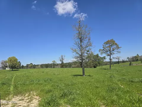 0 Posey Acres Rd, Chipley, FL 32428 photo 20