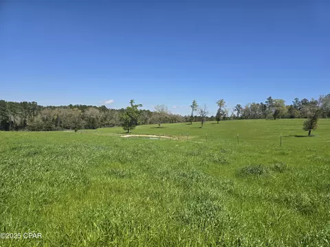 0 Posey Acres Rd, Chipley, FL 32428 photo 36