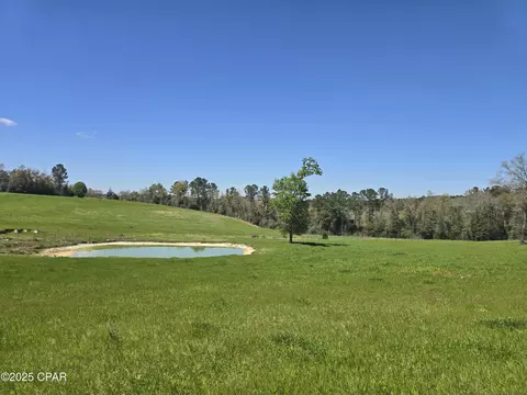 0 Posey Acres Rd, Chipley, FL 32428 photo 35