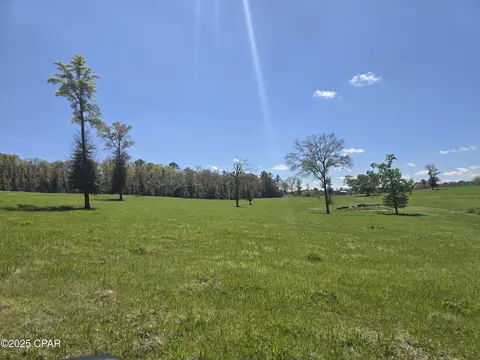 0 Posey Acres Rd, Chipley, FL 32428 photo 28