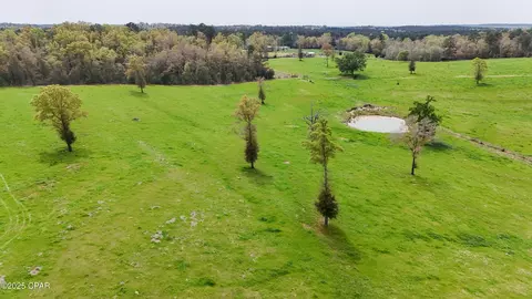 0 Posey Acres Rd, Chipley, FL 32428