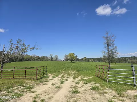 0 Posey Acres Rd, Chipley, FL 32428 photo 17