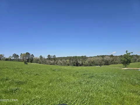 0 Posey Acres Rd, Chipley, FL 32428 photo 37