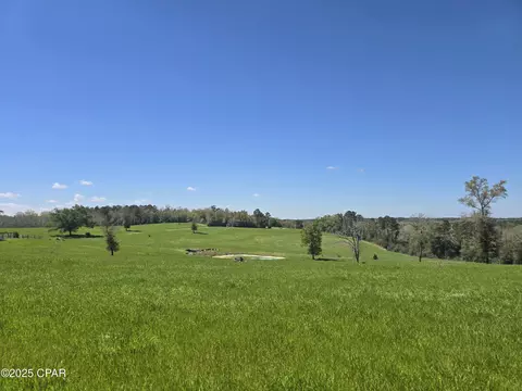 0 Posey Acres Rd, Chipley, FL 32428 photo 31