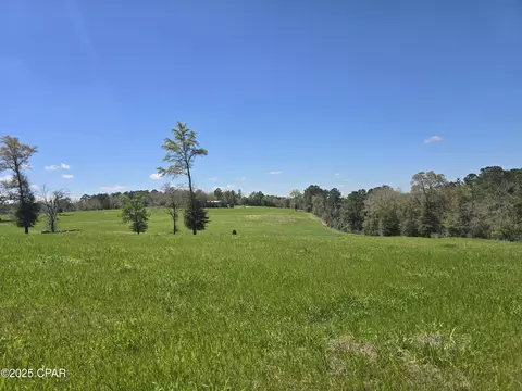 0 Posey Acres Rd, Chipley, FL 32428 photo 29