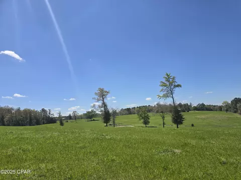 0 Posey Acres Rd, Chipley, FL 32428 photo 30