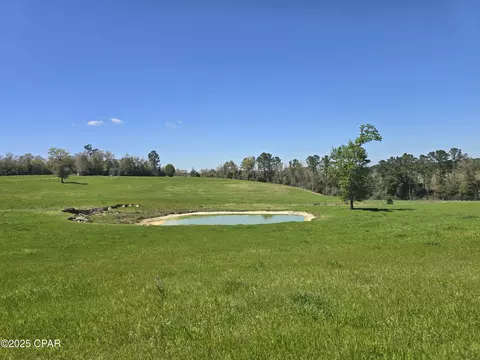 0 Posey Acres Rd, Chipley, FL 32428 photo 34