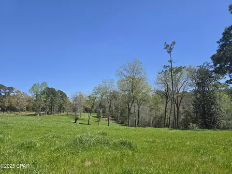 0 Posey Acres Rd, Chipley, FL 32428 photo 40