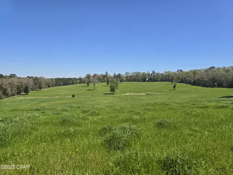 0 Posey Acres Rd, Chipley, FL 32428 photo 22