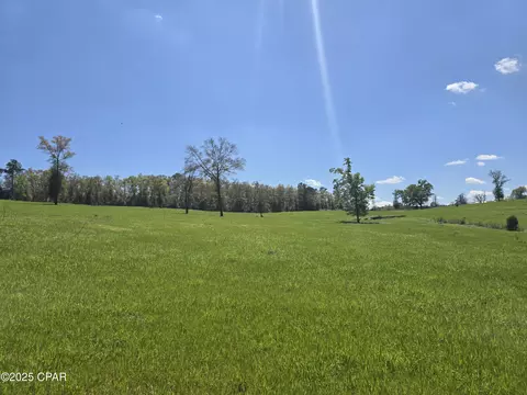 0 Posey Acres Rd, Chipley, FL 32428 photo 26