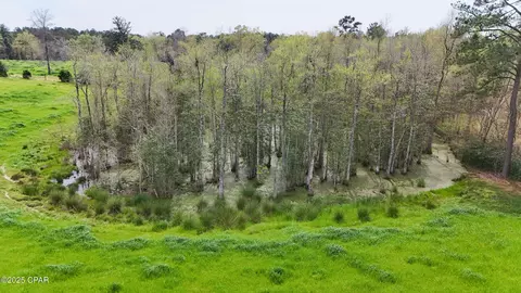 0 Posey Acres Rd, Chipley, FL 32428 photo 8