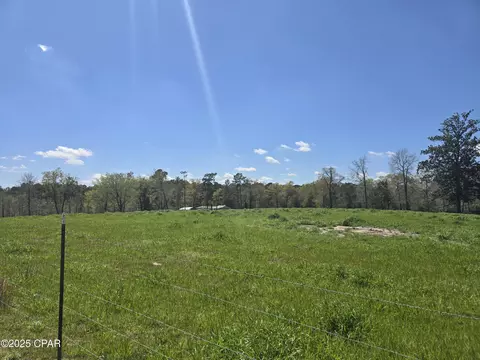 0 Posey Acres Rd, Chipley, FL 32428 photo 19