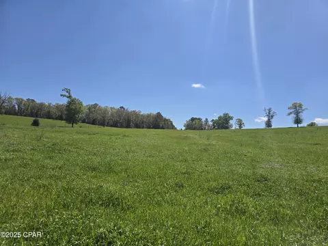 0 Posey Acres Rd, Chipley, FL 32428 photo 24