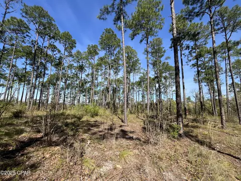 0 Wildrose Ln, Chipley, FL 32428 photo 6