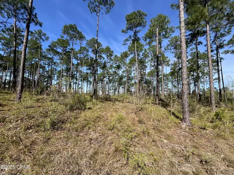 0 Wildrose Ln, Chipley, FL 32428 photo 2