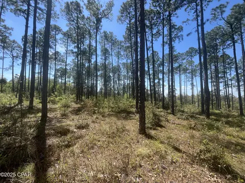 0 Wildrose Ln, Chipley, FL 32428 photo 9