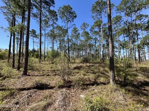 0 Wildrose Ln, Chipley, FL 32428 photo 7