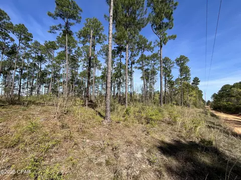 0 Wildrose Ln, Chipley, FL 32428 photo 3