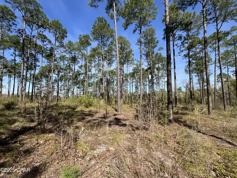 0 Wildrose Ln, Chipley, FL 32428 photo 5