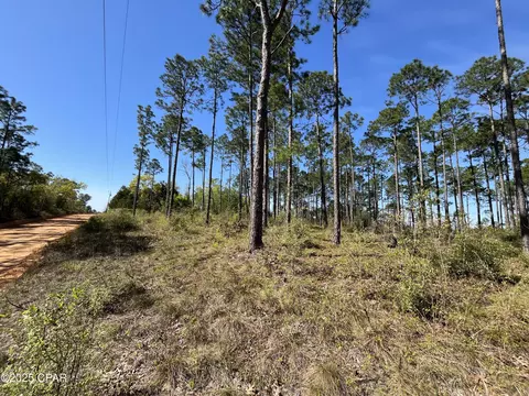 0 Wildrose Ln, Chipley, FL 32428 photo 8