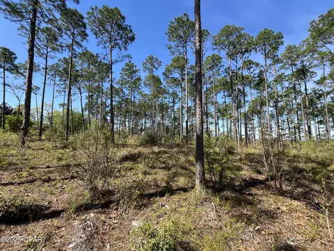 0 Wildrose Ln, Chipley, FL 32428 photo 4