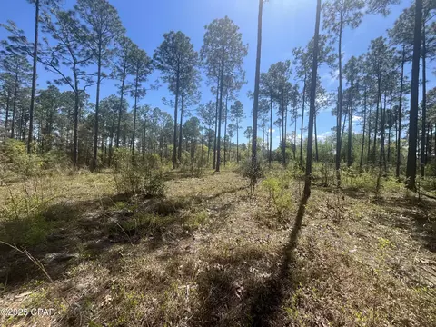 0 Wildrose Ln, Chipley, FL 32428 photo 10