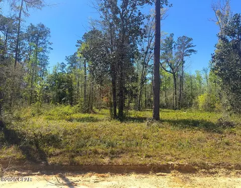 tbd Johnson St, Wewahitchka, FL 32465