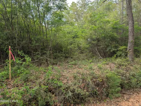 lot1 2 Olive Ln, Bonifay, FL 32425
